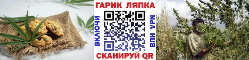 Cannafood конопля  хочу   маркетплейс телеграм  Алзамай 