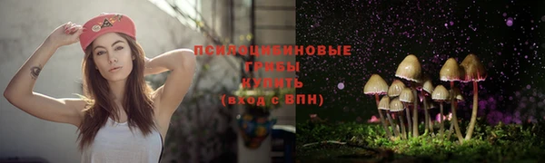 винт Нягань