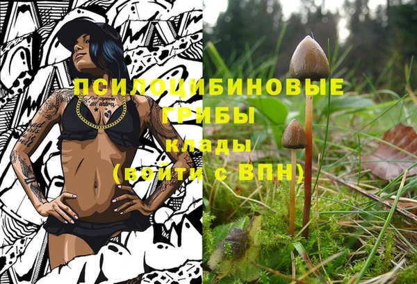 винт Нягань