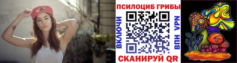 hydra как зайти Алзамай Галлюциногенные грибы ЛСД